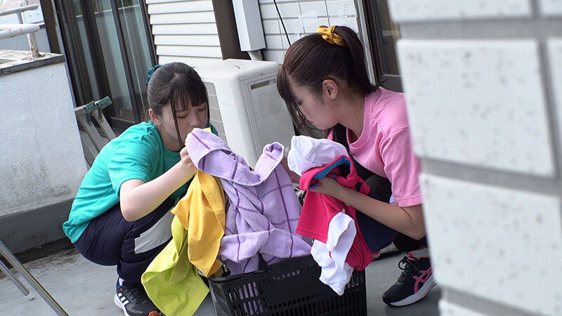 サンプル画像 8