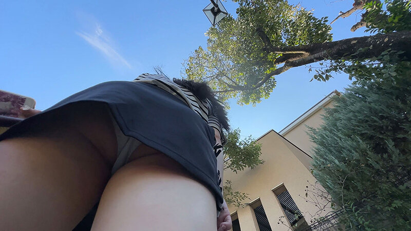 サンプル画像 8