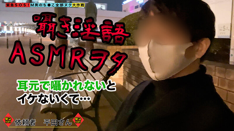 サンプル画像 2