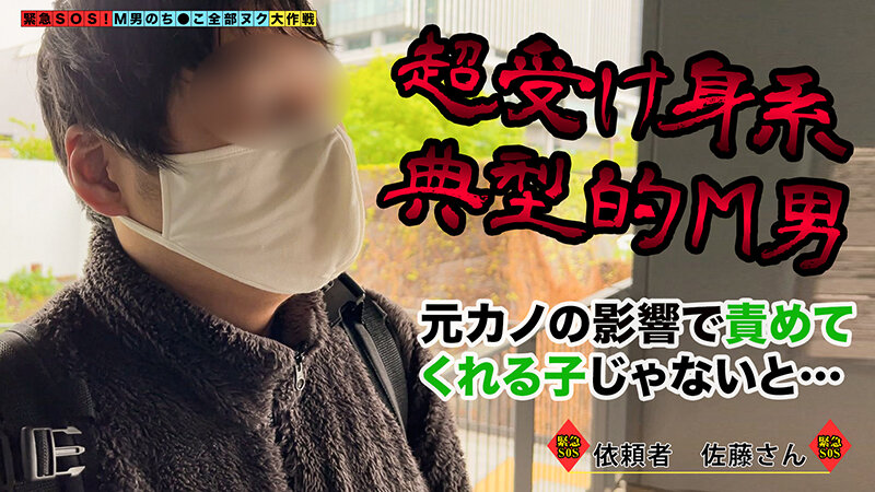 サンプル画像 2