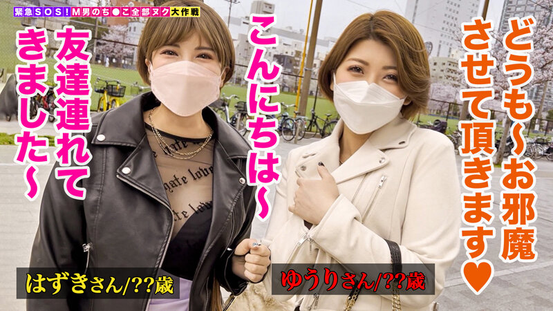 サンプル画像 3