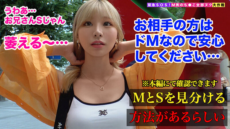 サンプル画像 4