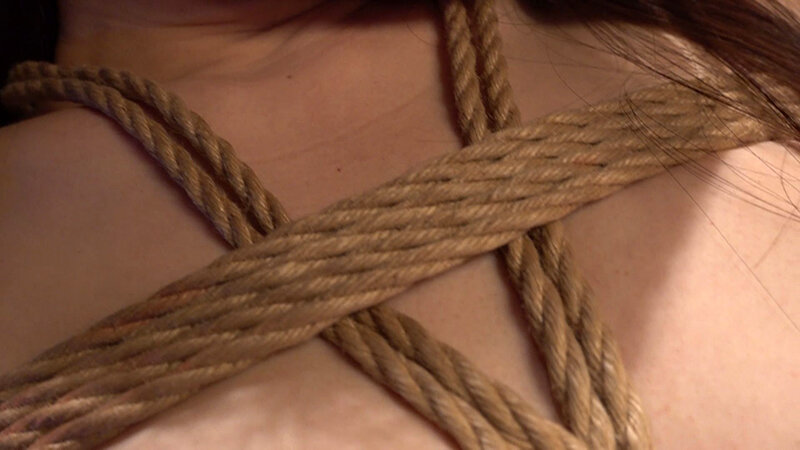 サンプル画像 5