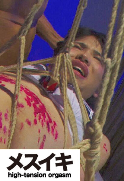 サンプルプレビュー