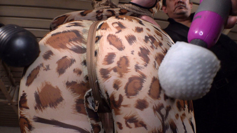 サンプル画像 5