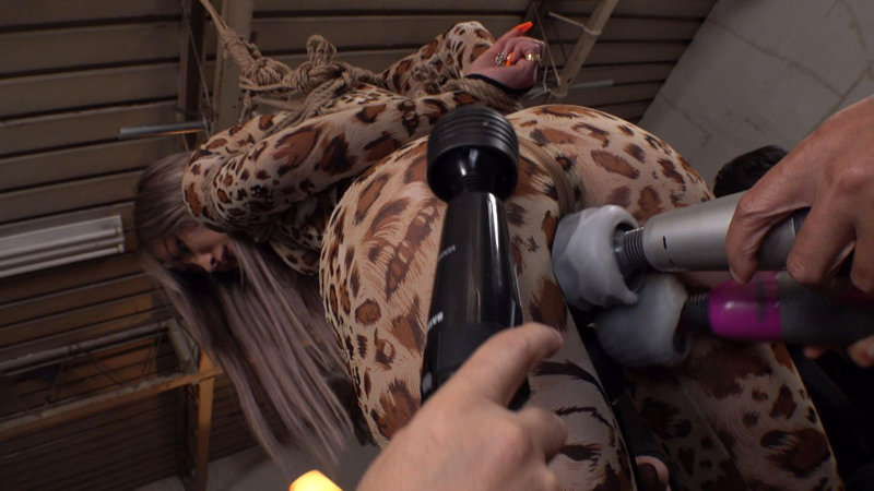 サンプル画像 6