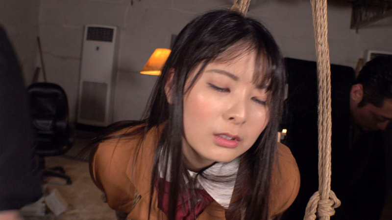 サンプル画像 11