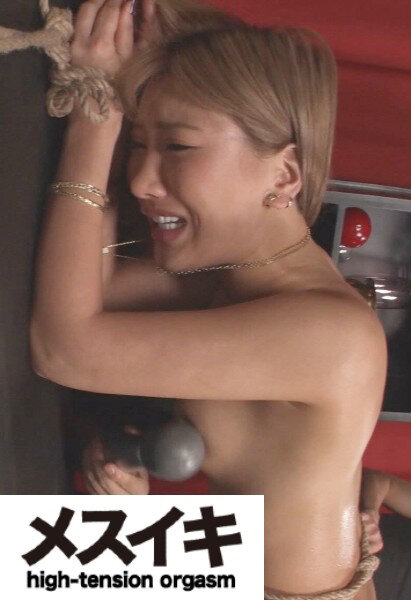 サンプルプレビュー