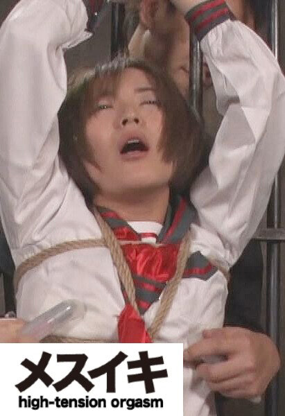 サンプルプレビュー