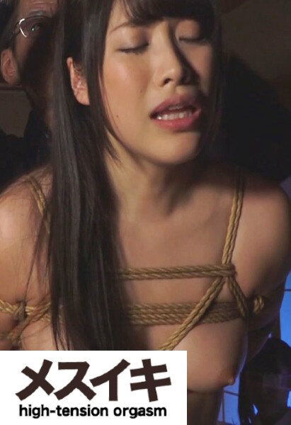 サンプルプレビュー