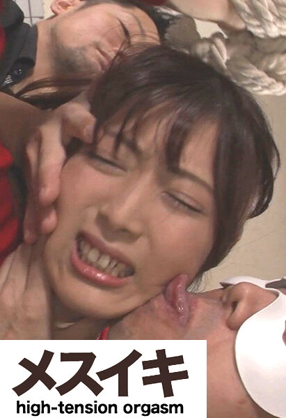 サンプルプレビュー