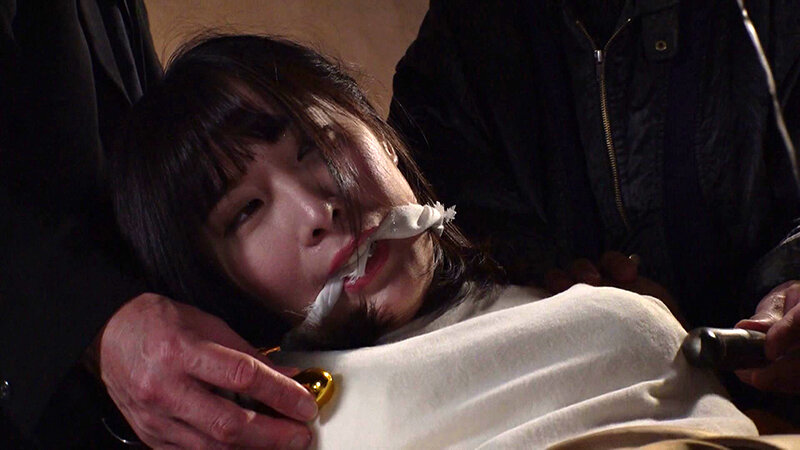 サンプル画像 8