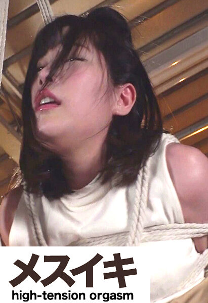 サンプルプレビュー