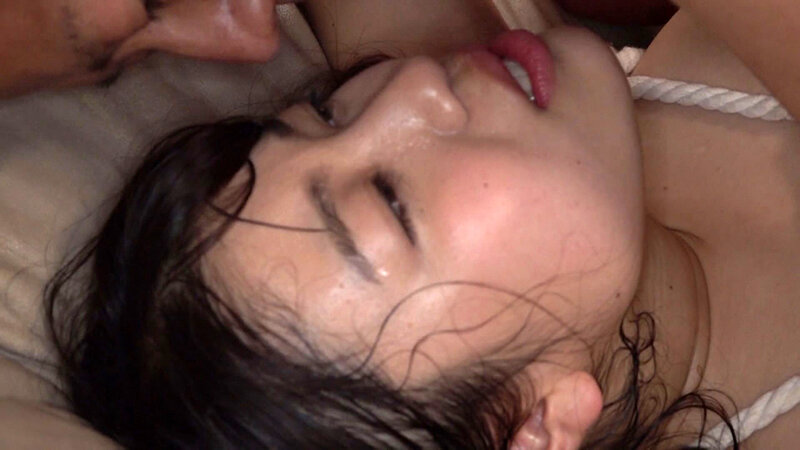 サンプル画像 11