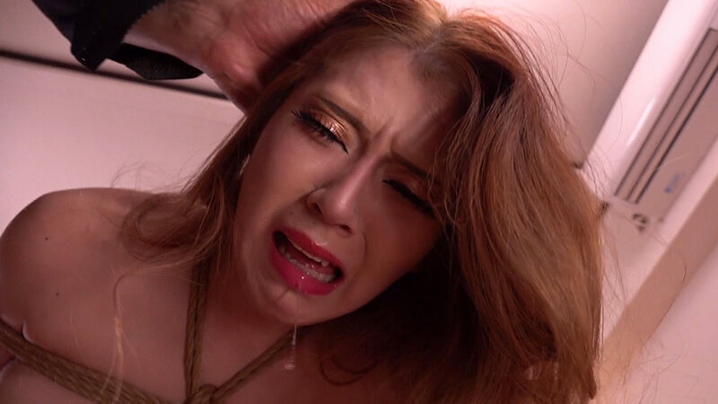 サンプル画像 11