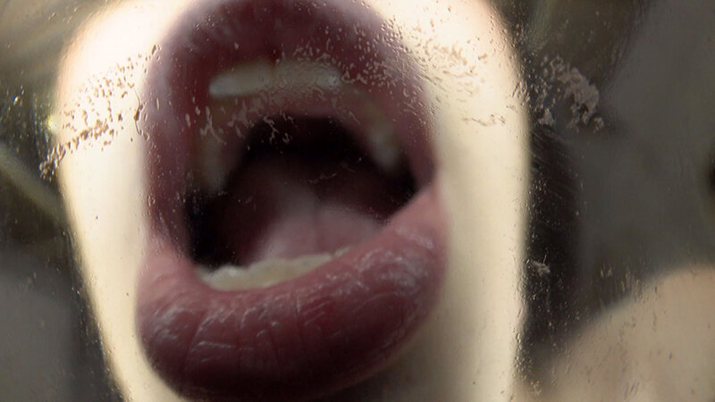 サンプル画像 11