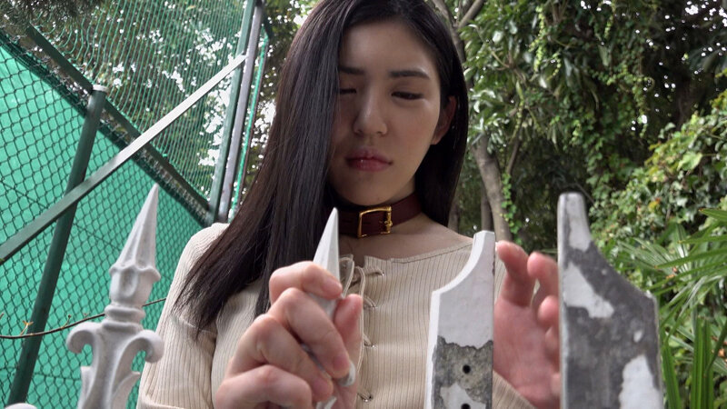 サンプル画像 4