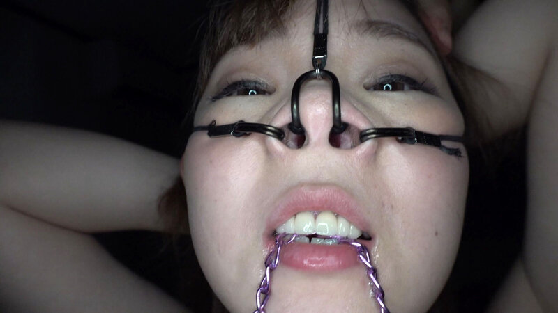 サンプル画像 6