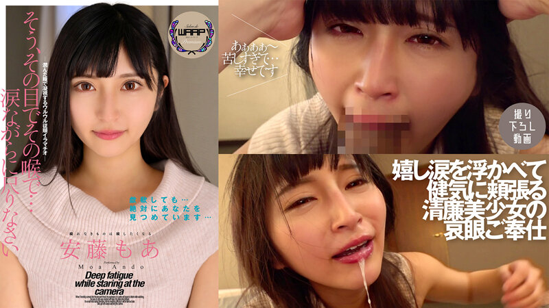 サンプルプレビュー