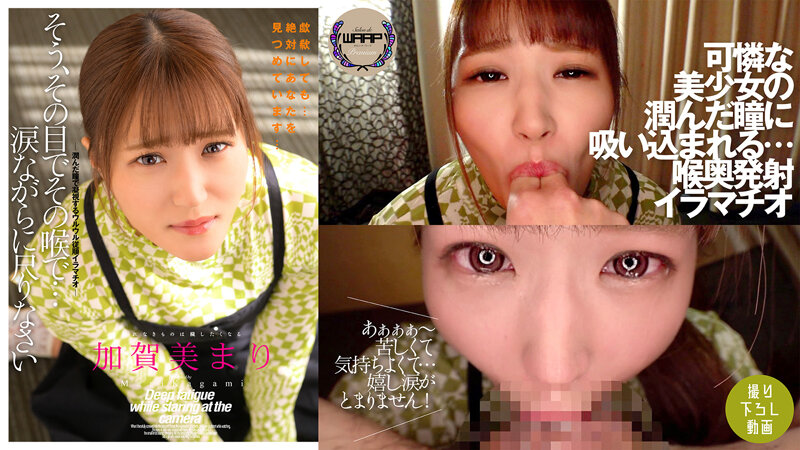 サンプルプレビュー