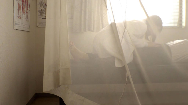 サンプル画像 2