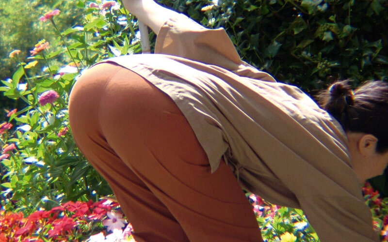 サンプル画像 20