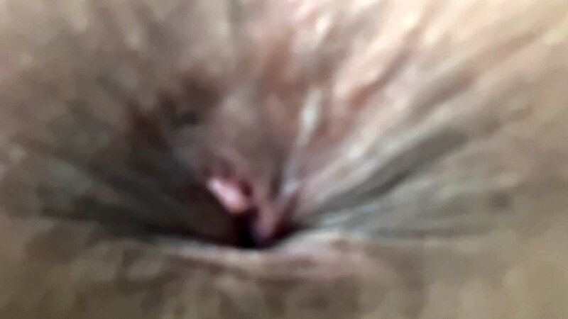 サンプル画像 14