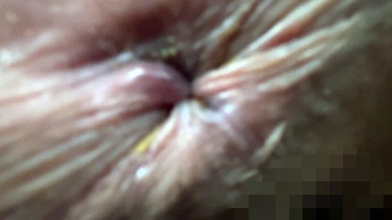 サンプル画像 15