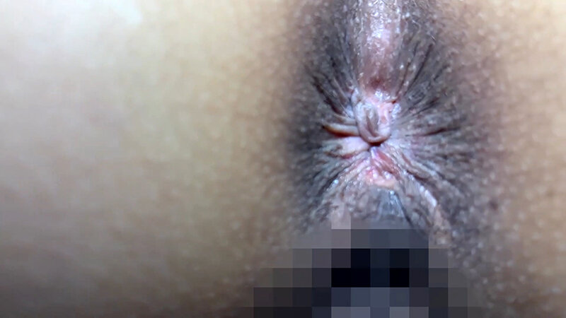 サンプル画像 15