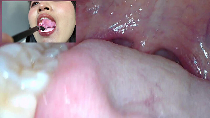 サンプル画像 11