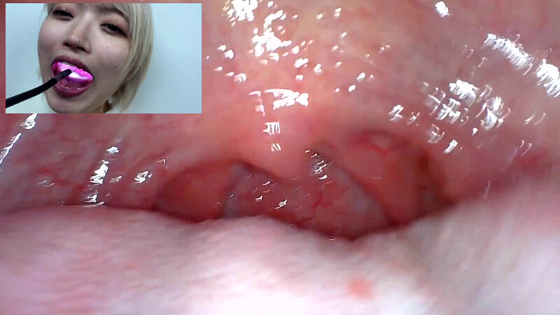 サンプル画像 18