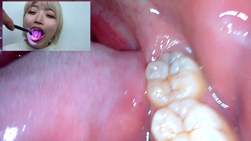 サンプル画像 20