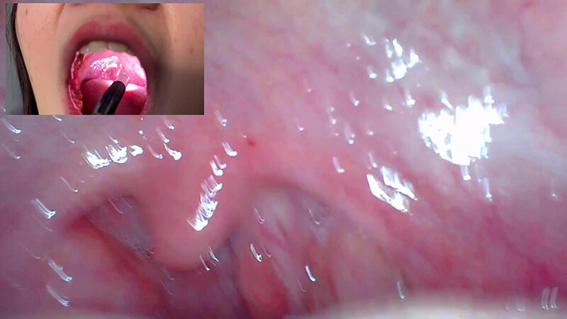 サンプル画像 7