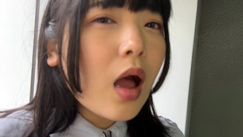 サンプル画像 8