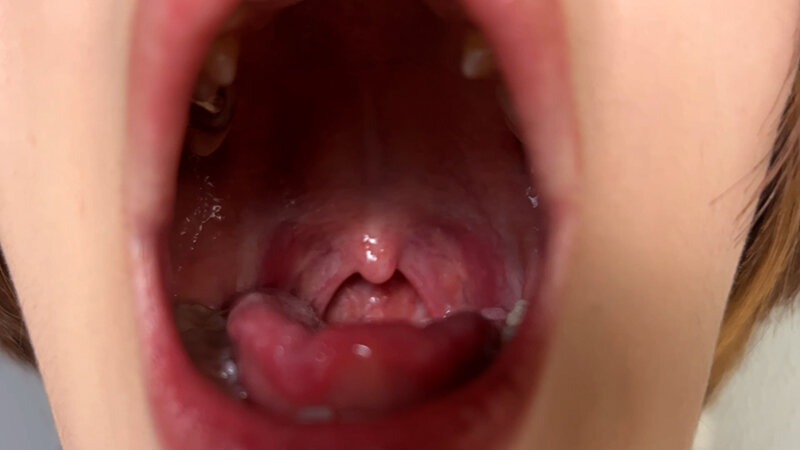 サンプル画像 8