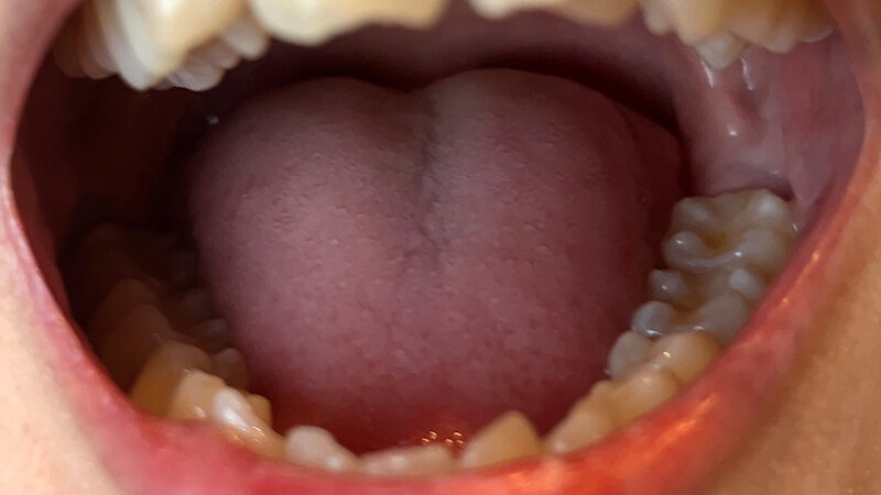 サンプル画像 5