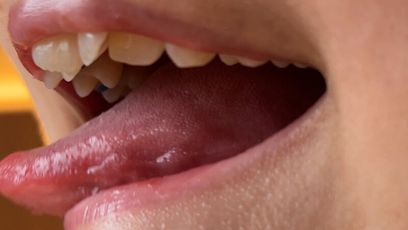 サンプル画像 8