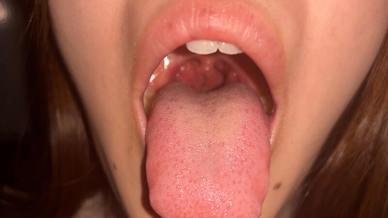 サンプル画像 11