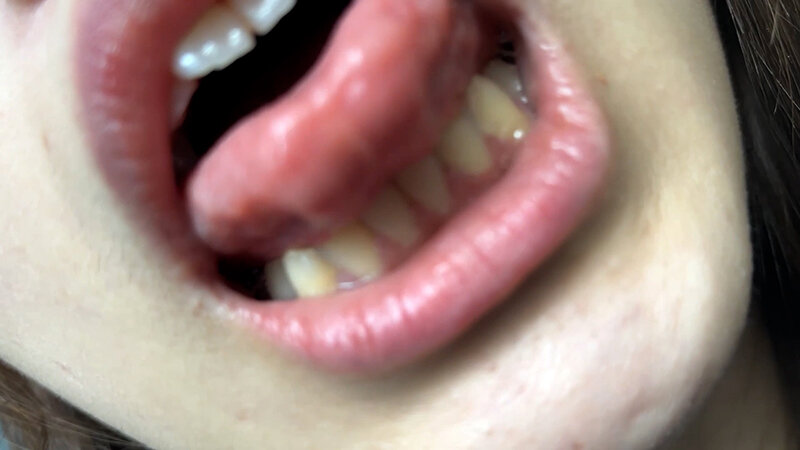 サンプル画像 12