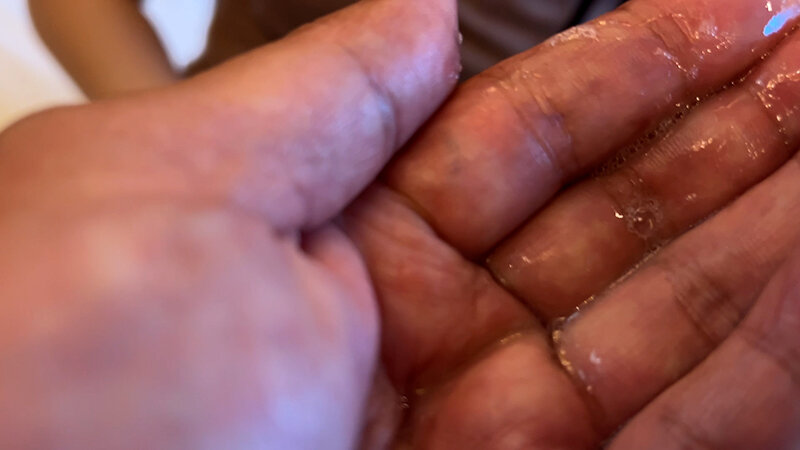 サンプル画像 16