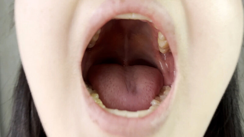 サンプル画像 6