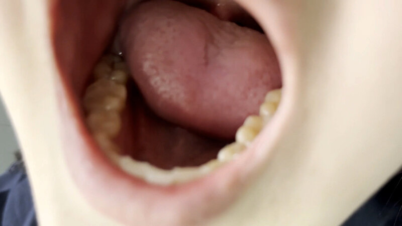 サンプル画像 8