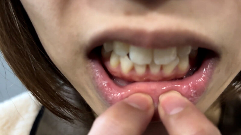 サンプル画像 13