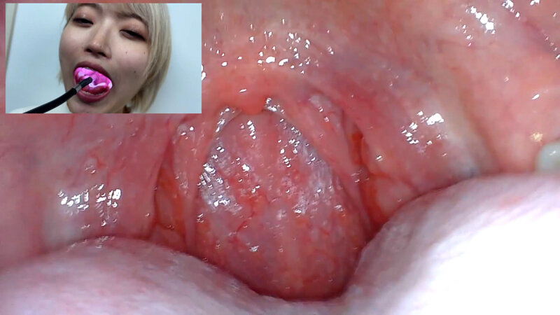 サンプル画像 17