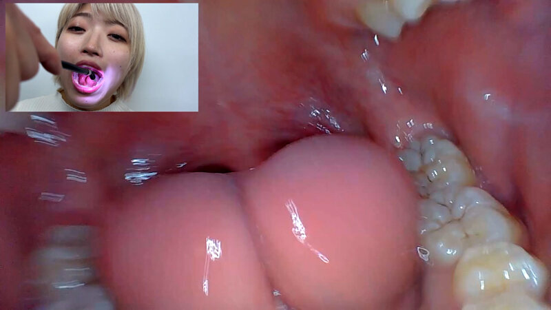 サンプル画像 19