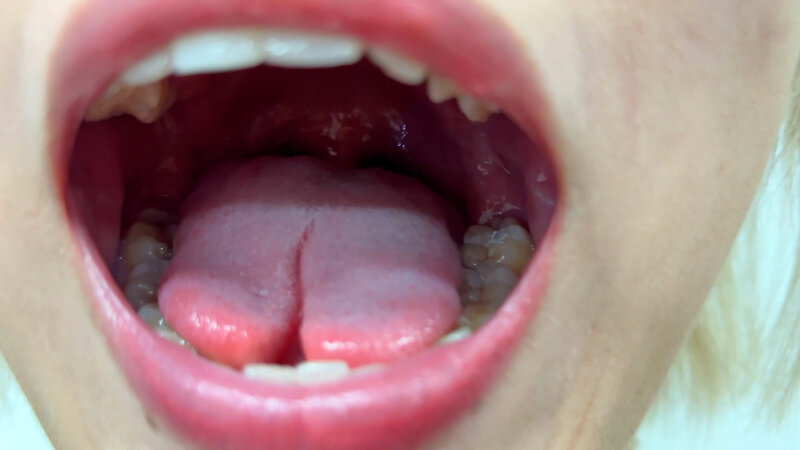 サンプル画像 5