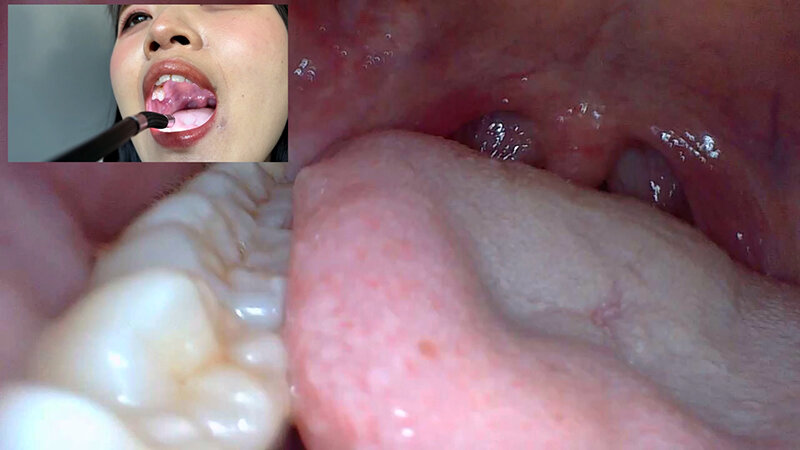 サンプル画像 11