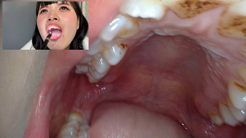 サンプル画像 13