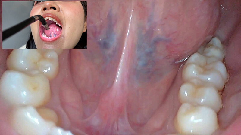 サンプル画像 16