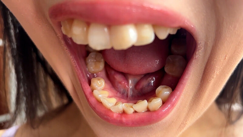 サンプル画像 8